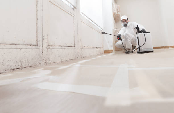 24/7 Emergency Mold Remediation experts in Westphalia, MD